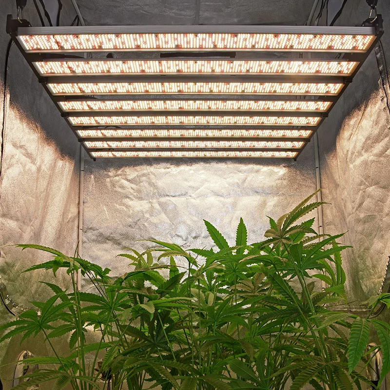 Professionnel DIY 1000w sans fil LED serre verticale ferme plantation lumière - tg1000 