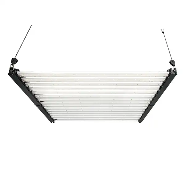 16 bandes 1000w Wholesale spectre complet LED Grow Light pour la croissance de l'industrie - LX - glm120 - 16 