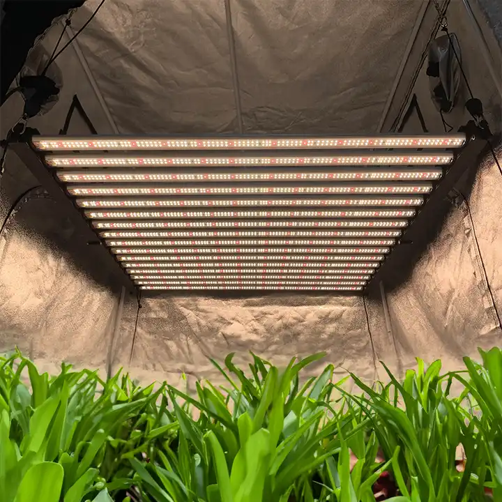 16 bandes 1000w Wholesale spectre complet LED Grow Light pour la croissance de l'industrie - LX - glm120 - 16 