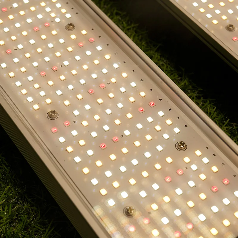 250W vente en gros plein spectre LED Grow Light - tg250 