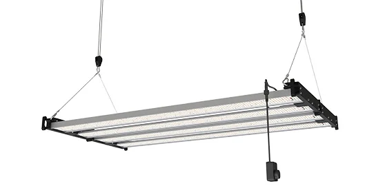 500W LED lumière de croissance 