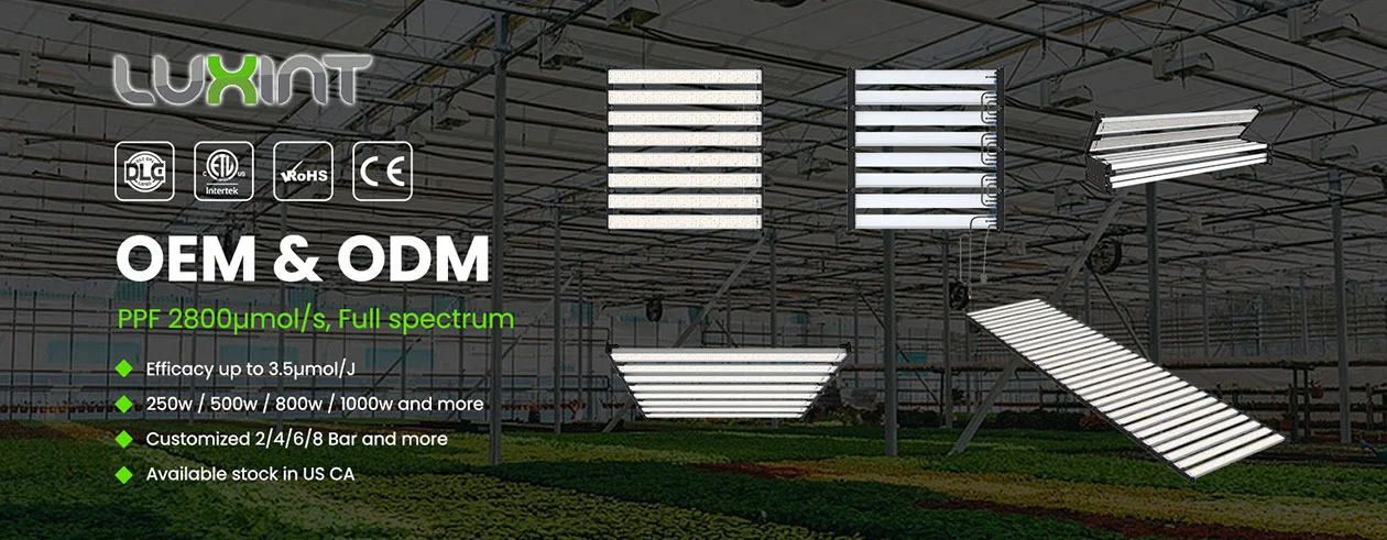 Luxint LED Grow Light fabrication 